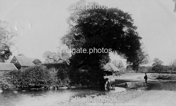 Image number 418&prevurl=publishers50