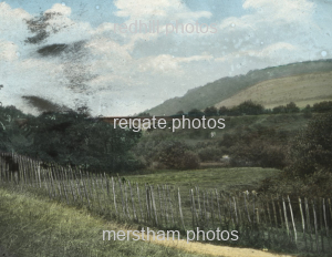 Image number 8674